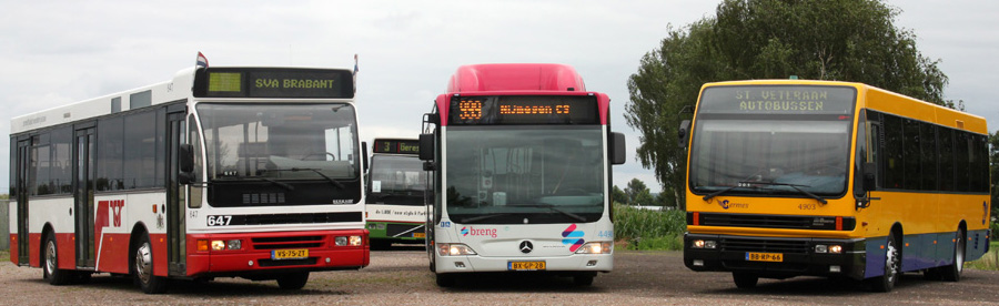 Een groot deel van de bussen die tijdens de open dag naast elkaar stonden opgesteld.